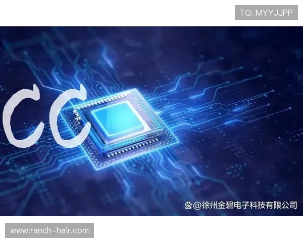 提升PG电子网娱乐用户粘性的方法与策略实现长期稳定的用户增长 提升PG电子网娱乐用户粘性的方法与策略实现长期稳定的用户增长