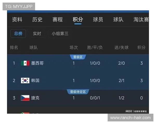 世界杯L组积分榜实时更新全景追踪，最新排名、积分变化及赛程安排全解析